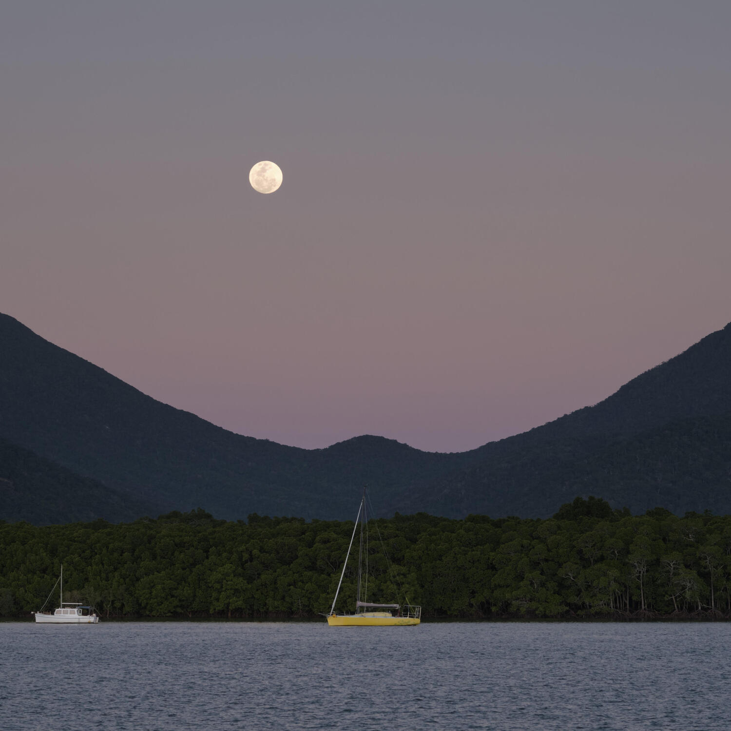 Efficitur faucibus vitae